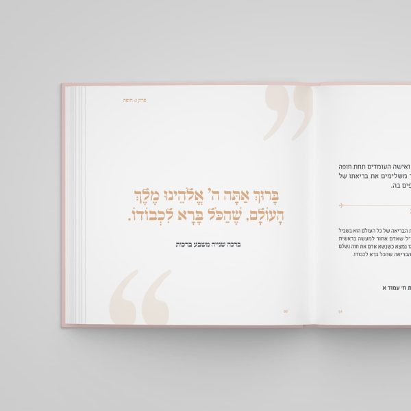 ⁦אחותי כלה — הספר⁩ – תמונה ⁦4⁩